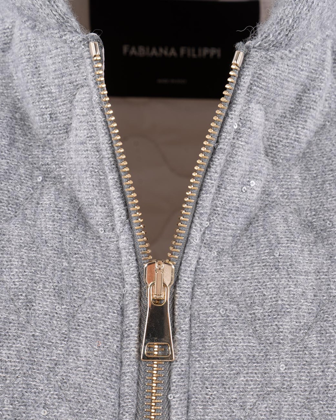 shop FABIANA FILIPPI  Gilet: Fabiana Filippi gilet con paillettes.
Decorazione con paillettes.
Chiusura con zip.
Composizione: 20% seta, 17% cashmere, 11% alpaca, 4% poliestere.
Made in Italy.. CTD215F221 L522-8132 number 2379759